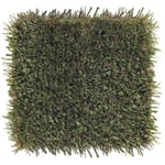 View SportsGrass® Edge XP
